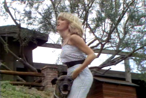 Olivia Newton-John from Every Face Tells A Story music video