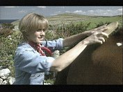 click to enlarge looking after the horses