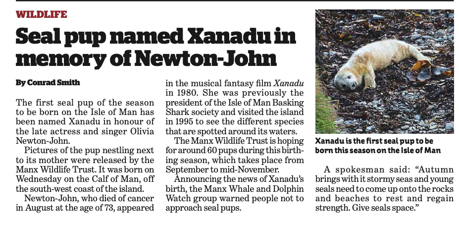 Seal Pup Named Xanadu In Memory Of Olivia - i Weekend