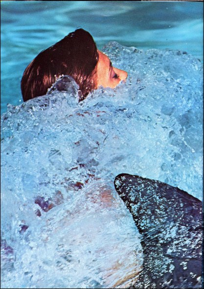 Physical Sheet Music Songbook page 7-8