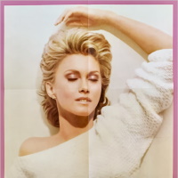 Olivia Newton-John's Greatest Hits Japanese Deluxe Edition poster, second side