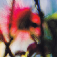 Olivia Newton-John Gaia 2012 inside the CD