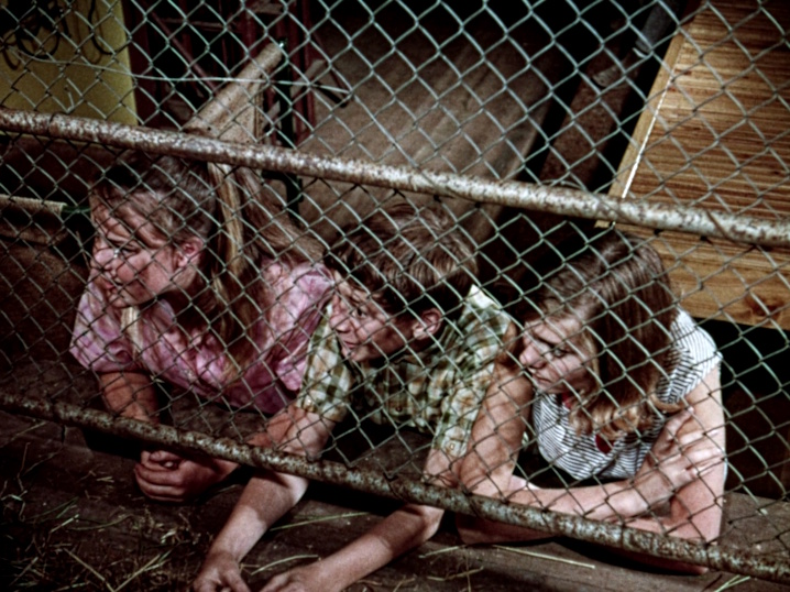 Olivia Newton-John from Funny Things Happen Down Under blu-ray from Australia