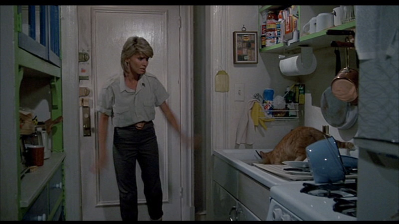 Olivia Newton-John and John Travolta in Two Of A Kind 1983