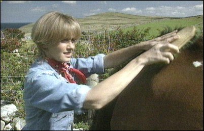 click to enlarge looking after the horses